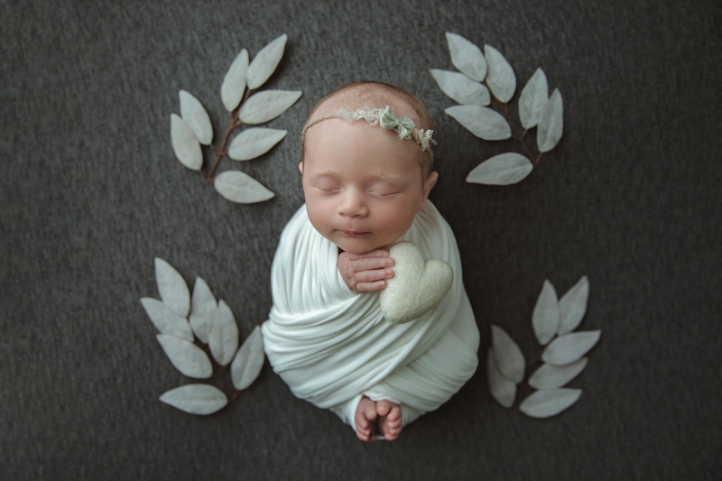 Newborn Photography, baby wrapped in white with fabric leaves around them